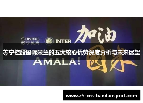 苏宁控股国际米兰的五大核心优势深度分析与未来展望